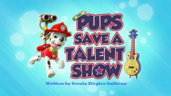 Os filhotes salvam um show de talentos