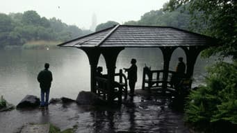 Esfaqueamento no Central Park