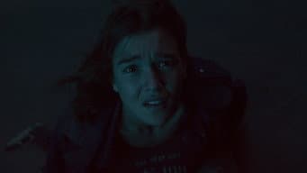 Episódio 8