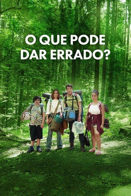 O Que Pode Dar Errado?