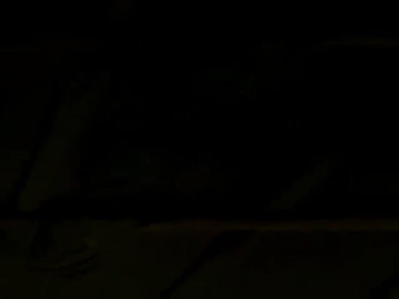 Pássaros sem asas