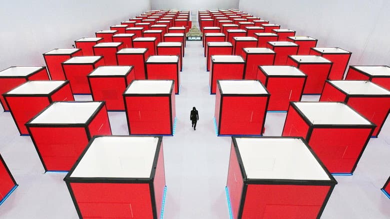 O experimento da solitária