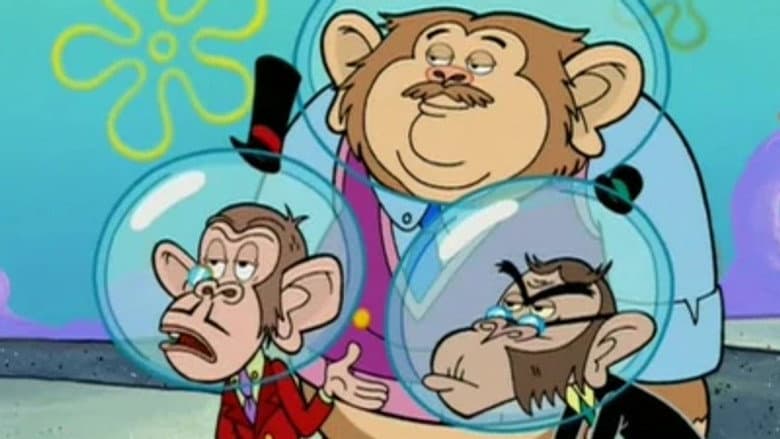 Olá Chimpanzés