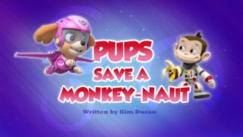 Os filhotes salvam um macaco-nauta