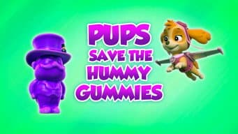 Os Filhotes Salvam as Balas Hummy