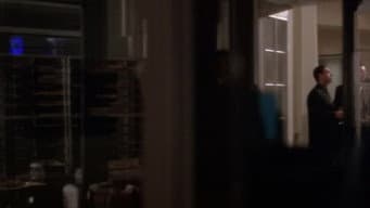 Episódio 8