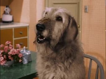 Este Homem É Um Cão