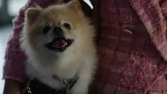 Barking Bad