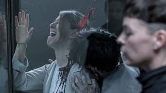 Sangue e Mentiras