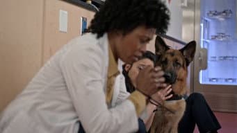 Episódio 7