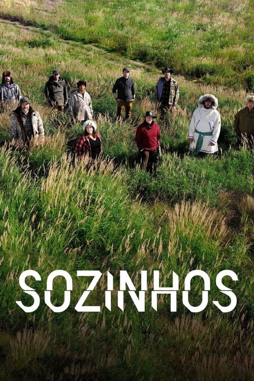 Sozinhos